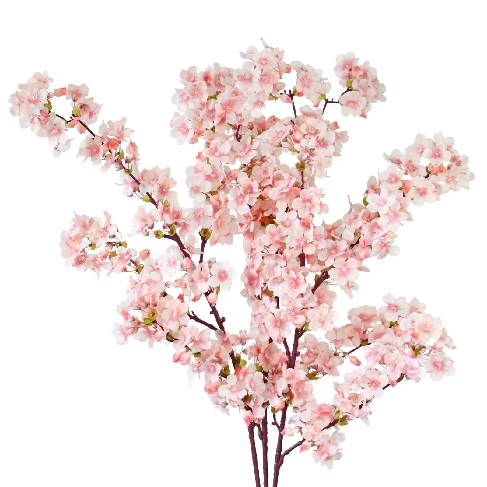 rama flor de cerezo - Cómo crecen las flores de cerezo