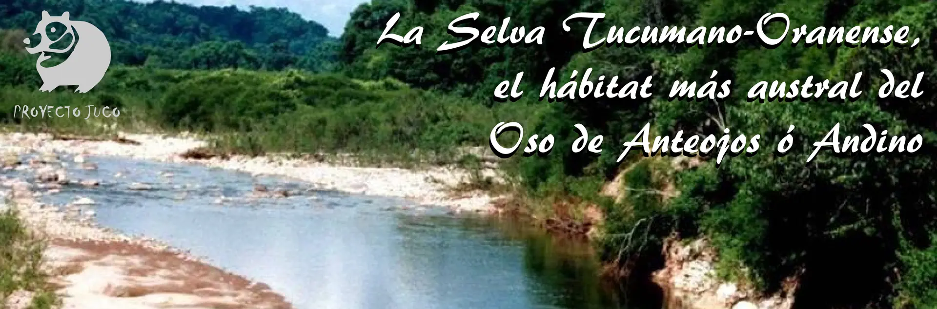 flora selva tucumana salteña - Cómo es el clima en la selva tucumana salteña