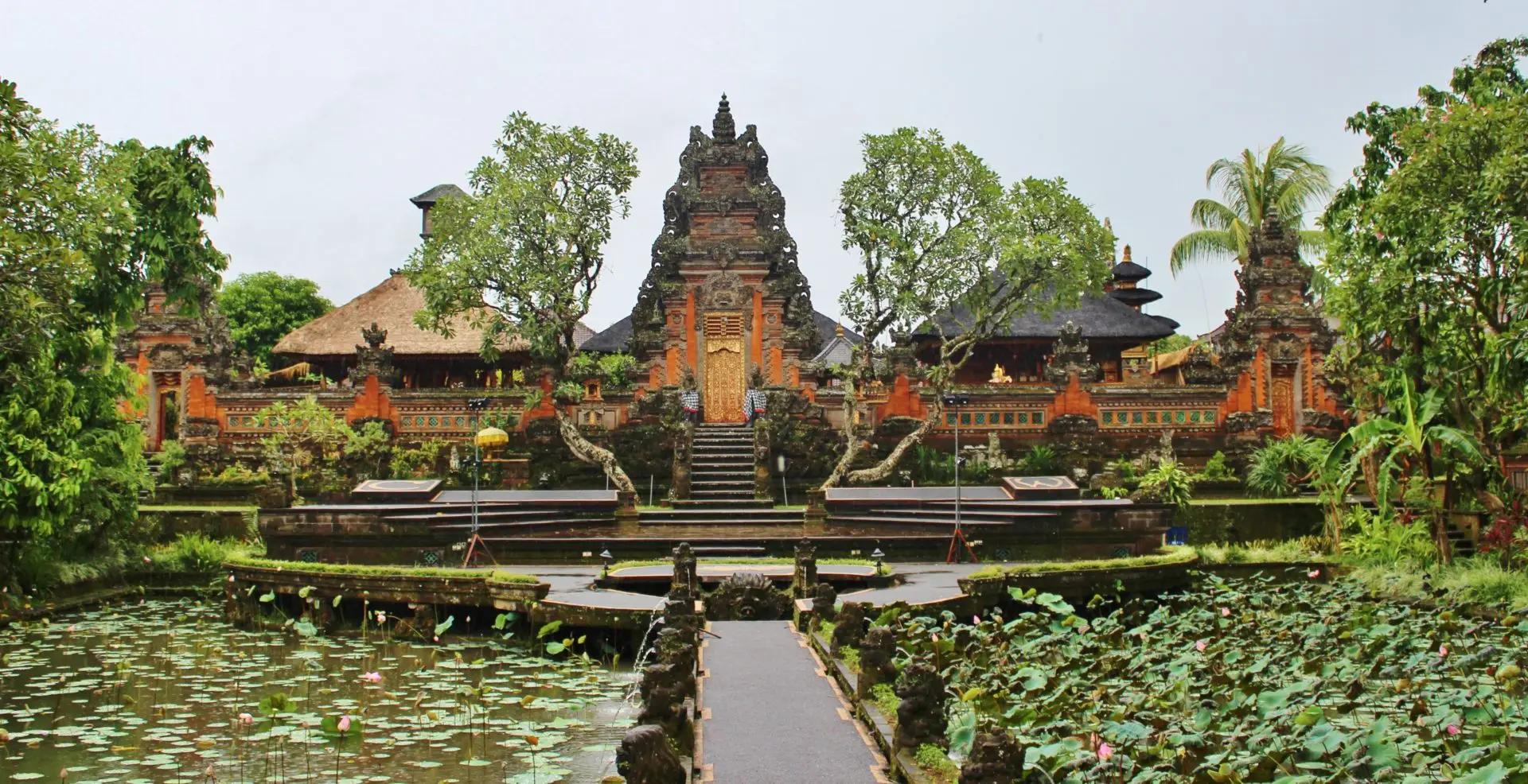 Flora y fauna de Indonesia: Un paraíso de biodiversidad - Cómo es el ecosistema de Indonesia flora y fauna de indonesia - Cómo es el ecosistema de Indonesia