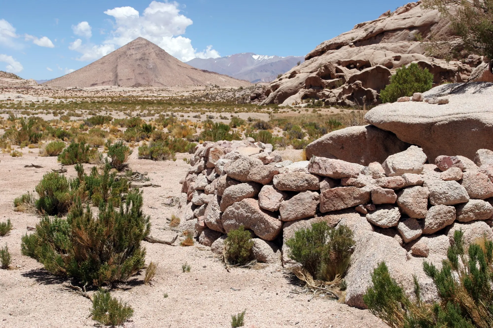 Flora y fauna de los altos Andes - Cómo es el suelo de los altos Andes flora y fauna de los altos andes - Cómo es el suelo de los altos Andes