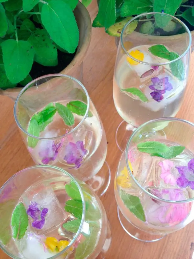 hielos con flores - Cómo hacer el hielo transparente