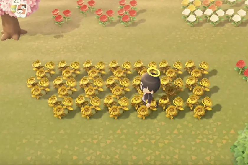 como conseguir flores - Cómo hacer flores negras Animal Crossing