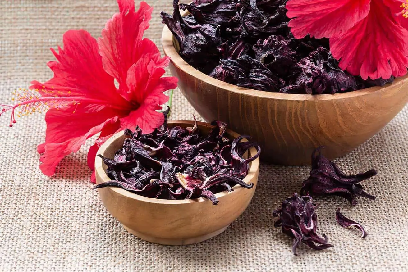 Flores en el cabello: belleza y cuidado natural - Cómo hacer té de hibisco para el cabello flores en el cabello - Cómo hacer té de hibisco para el cabello