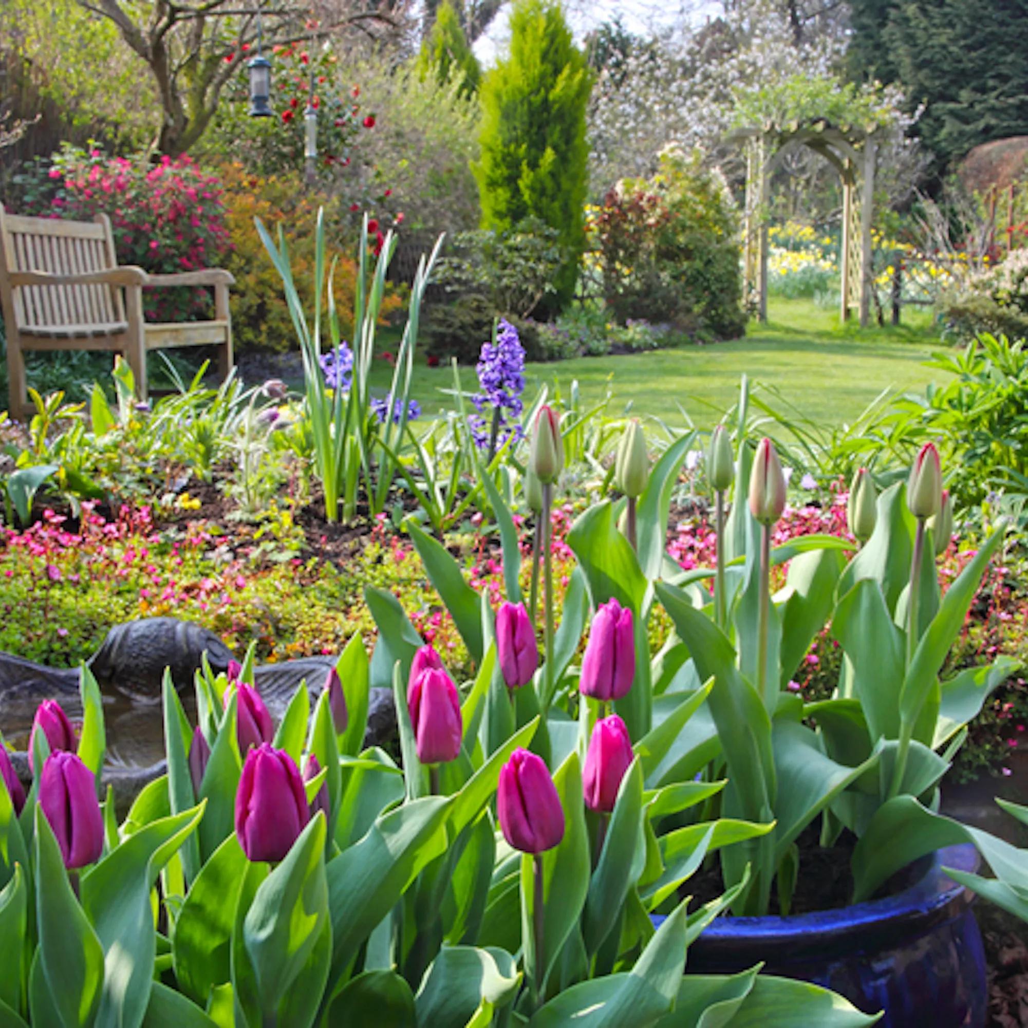 Cómo hacer un jardín de flores en casa - Cómo hacer un jardín paso a paso como hacer un jardin de flores en casa - Cómo hacer un jardín paso a paso