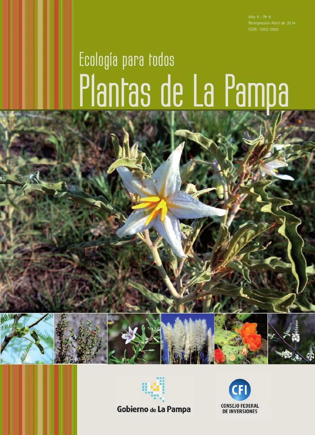 flora de la llanura pampeana - Cómo se describe la llanura pampeana