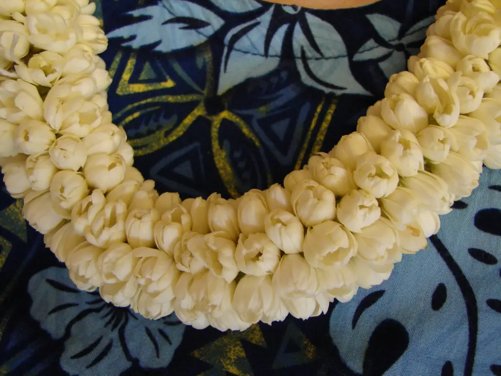 Collar de flores hawaiano - Un toque tropical y colorido - Cómo se llama el collar hawaiano de flores collar de flores hawaiano nombre - Cómo se llama el collar hawaiano de flores