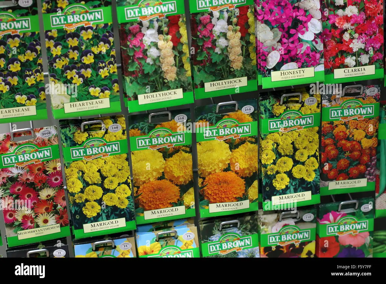 Distribuidora de Semillas de Flores: La mejor opción para tu jardín - Cómo se llama el lugar donde venden semillas de plantas distribuidora de semillas de flores - Cómo se llama el lugar donde venden semillas de plantas