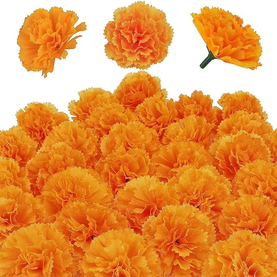 Flor de Caléndula: Una Maravilla de la Naturaleza - Cómo se llama la caléndula en España flor de calendula - Cómo se llama la caléndula en España