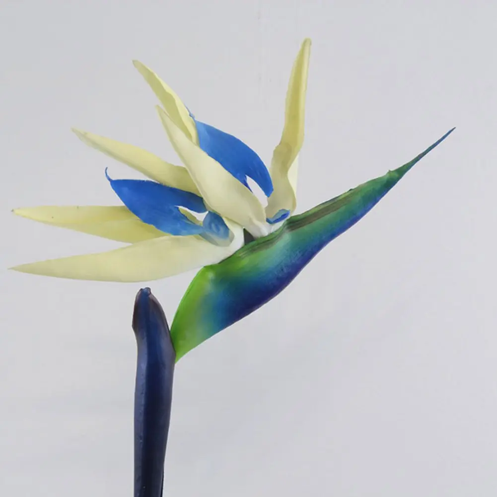 La Flor de Pájaro Blanca: Belleza y Simbolismo - Cómo se llama la flor del pájaro blanca flor de pajaro blanca - Cómo se llama la flor del pájaro blanca
