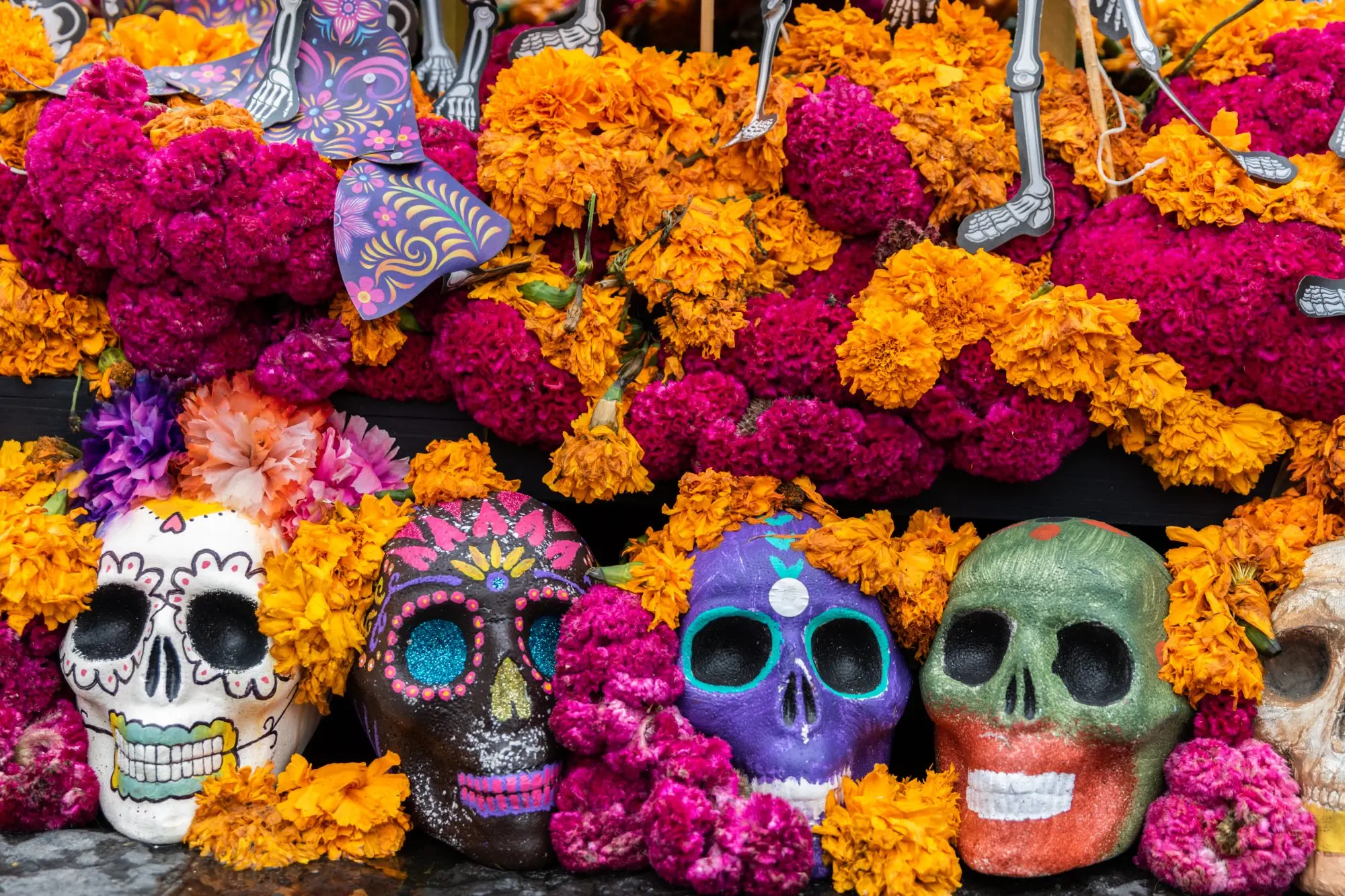 La Flor de los Muertos en España: Una Tradición Llena de Color y Significado - Cómo se llama la flor roja del día de muertos flor de los muertos - Cómo se llama la flor roja del día de muertos