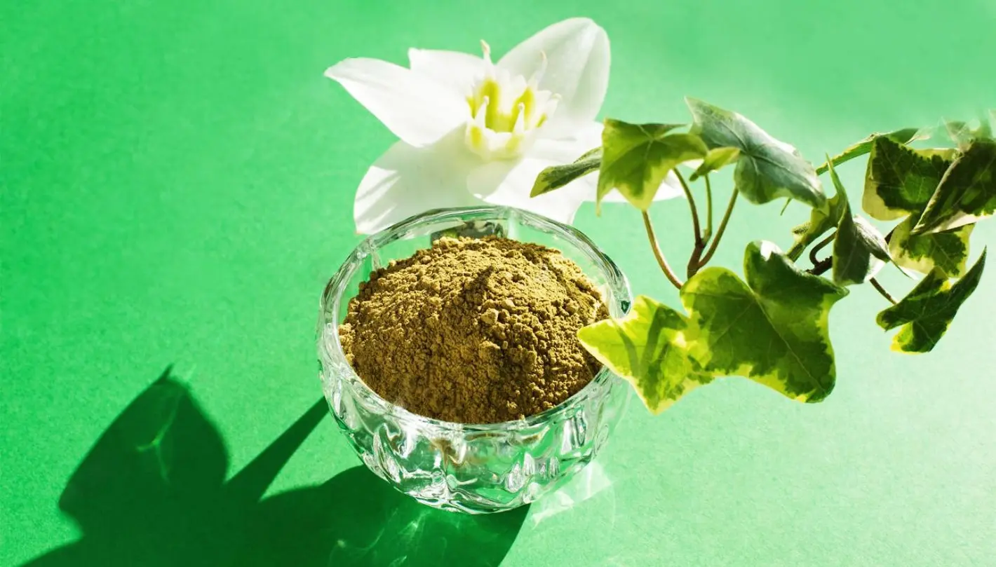 alheña flor - Cómo se llama la planta de la henna