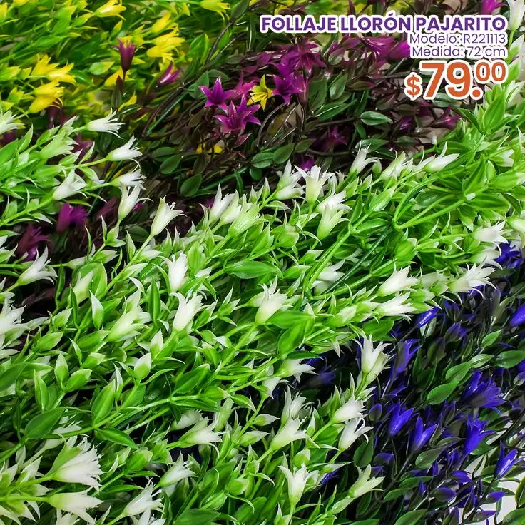 El follaje con flores: un complemento esencial en los arreglos florales - Cómo se llaman las hojas verdes de los arreglos florales follaje con flores - Cómo se llaman las hojas verdes de los arreglos florales