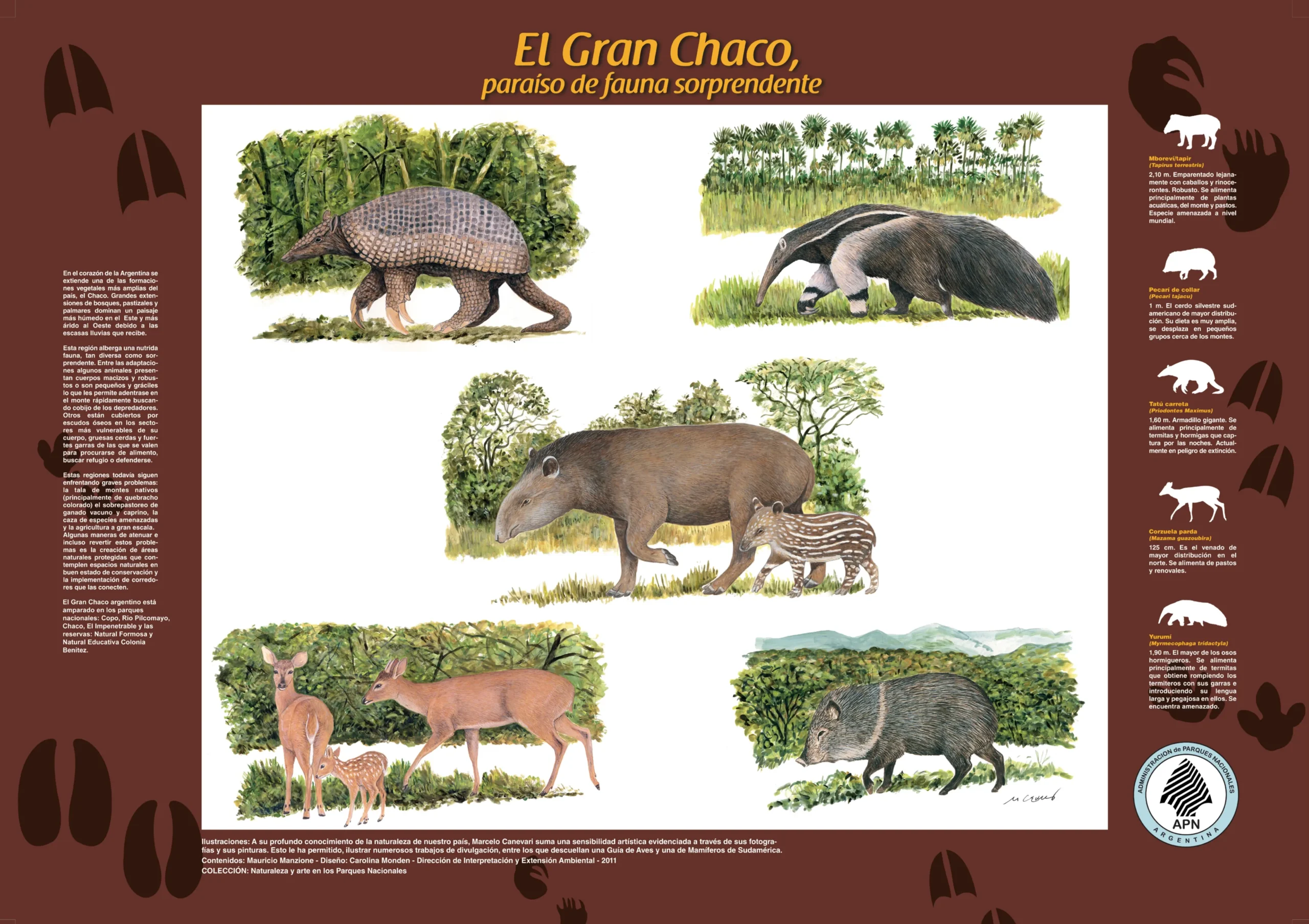 Parques Nacionales de Argentina: Flora y Fauna - Cómo se llaman los 39 Parques Nacionales de Argentina parques nacionales de argentina flora y fauna - Cómo se llaman los 39 Parques Nacionales de Argentina