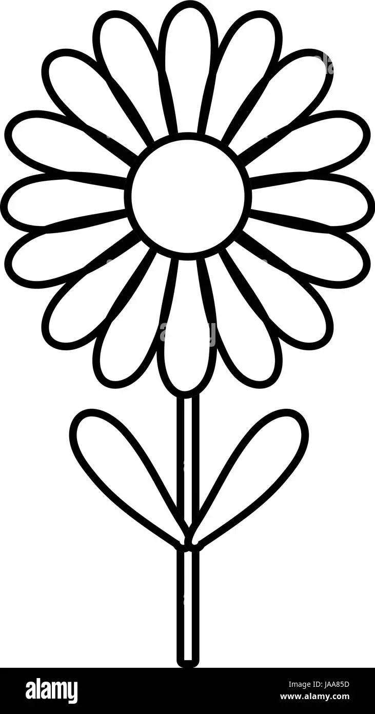 Flor con 12 pétalos para colorear - Cómo se llaman los pétalos de una flor flor con 12 petalos para colorear - Cómo se llaman los pétalos de una flor
