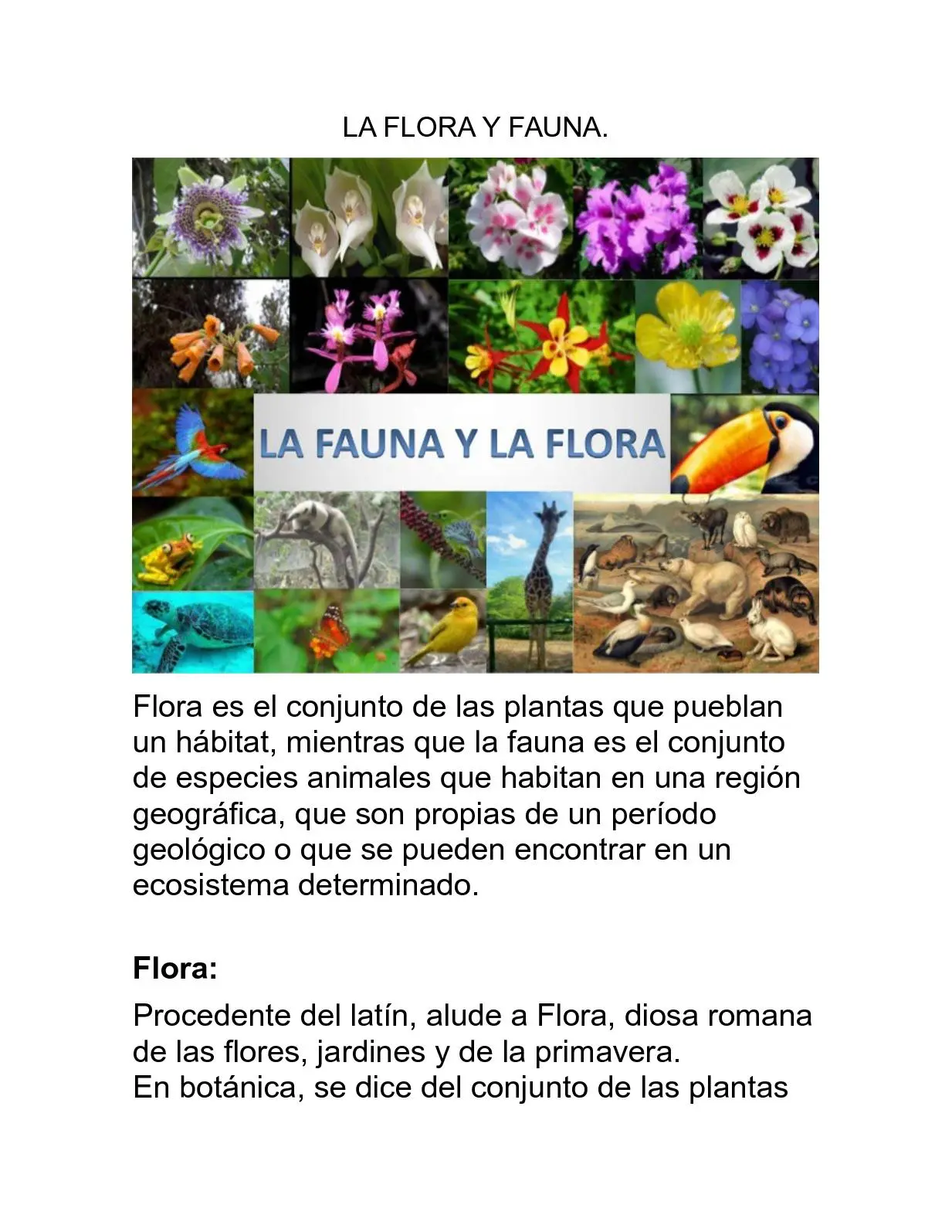 Relación entre flora y fauna: Importancia para la vida del ser humano - Cómo se relacionan las plantas y los animales en el medio ambiente relacion entre flora y fauna - Cómo se relacionan las plantas y los animales en el medio ambiente