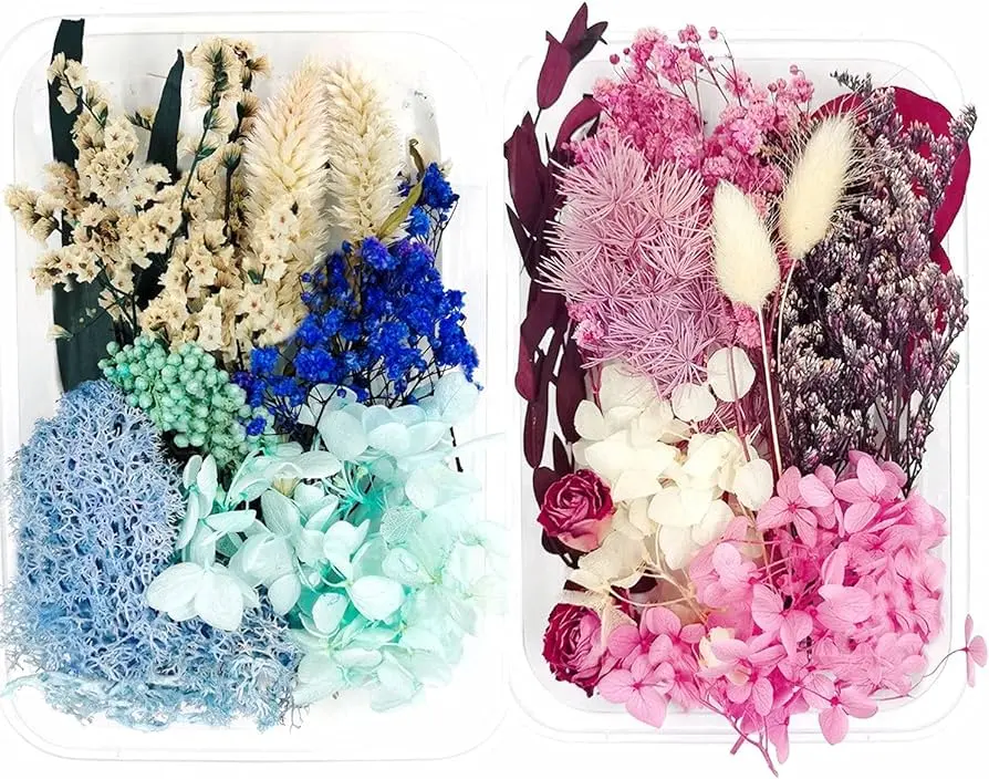 ¿Dónde comprar flores secas para manualidades? - Cómo secar flores naturales rápido donde comprar flores secas para manualidades - Cómo secar flores naturales rápido