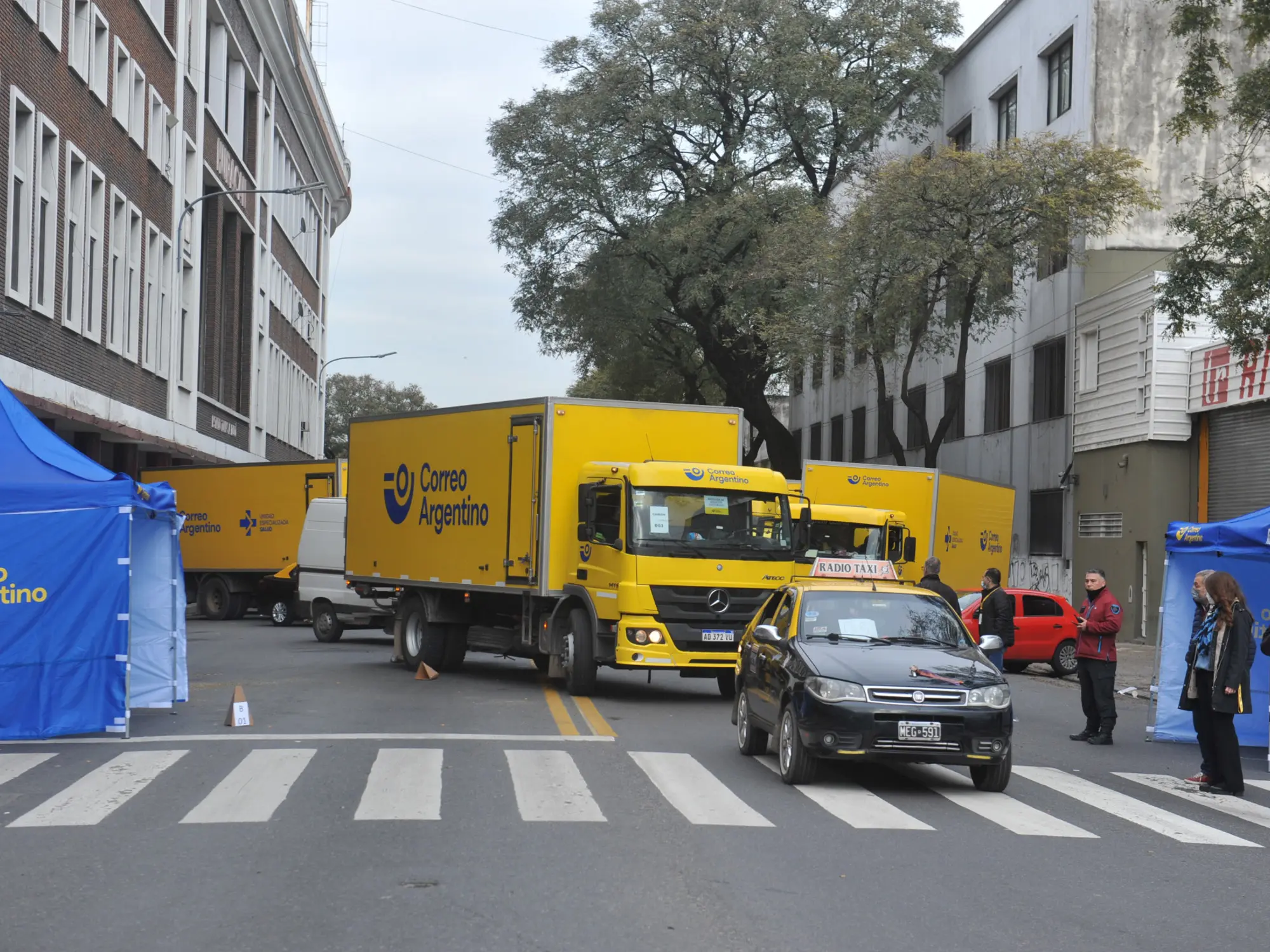 Correo Argentino: Una opción confiable para enviar y recibir flores - Cómo son las entregas de Correo Argentino correo argentino las flores - Cómo son las entregas de Correo Argentino