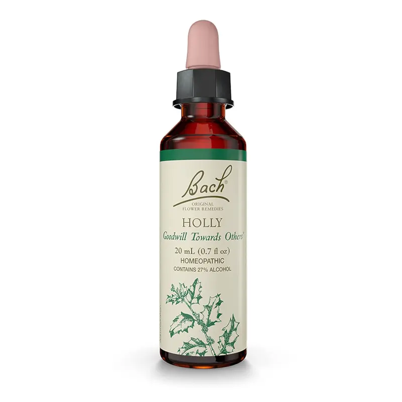 Flor de Bach Holly: Propiedades y beneficios - Cómo tomar Holly flor de bach holly propiedades - Cómo tomar Holly