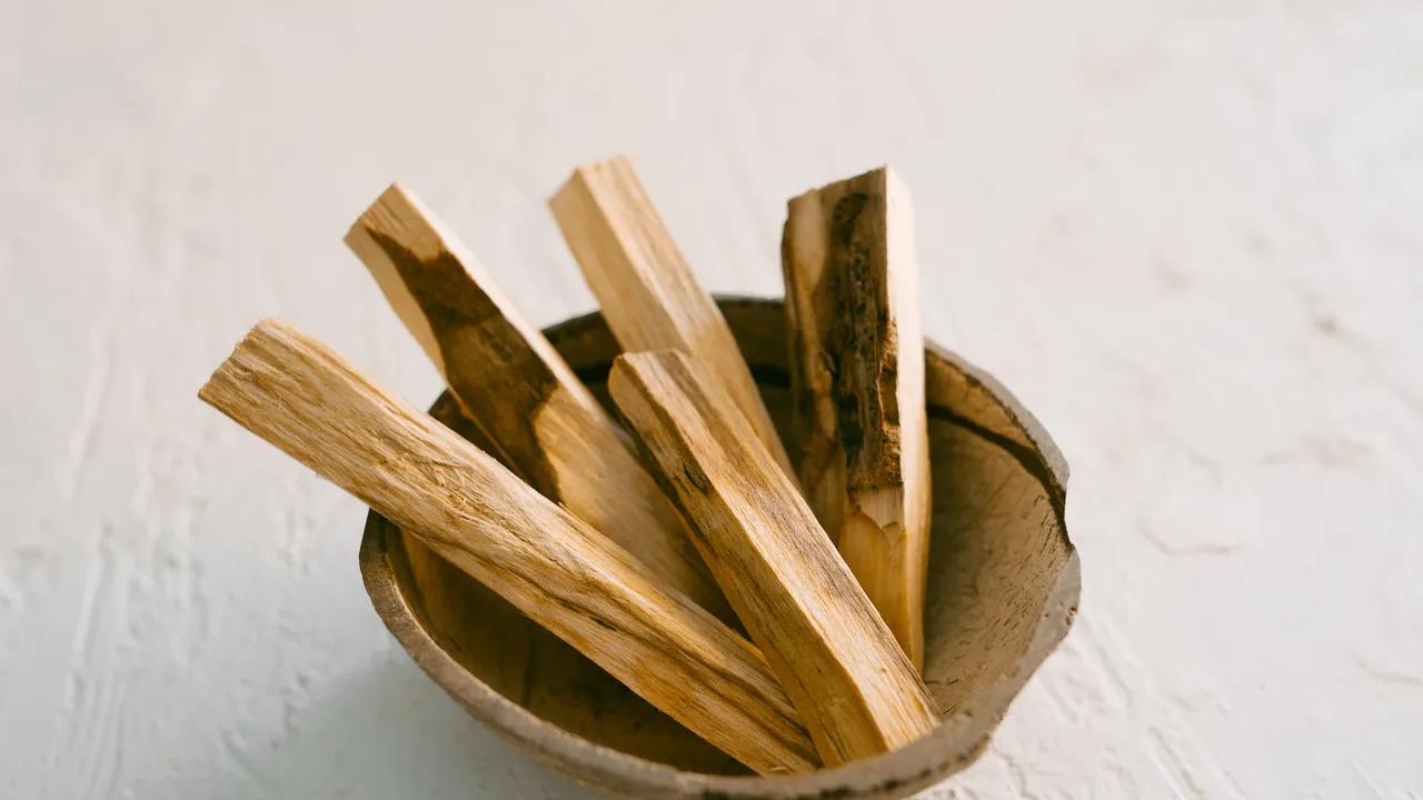 Bulnesia sarmientoi: La Flor del Palo Santo - Cómo y para que usar palo santo bulnesia sarmientoi flor - Cómo y para que usar palo santo