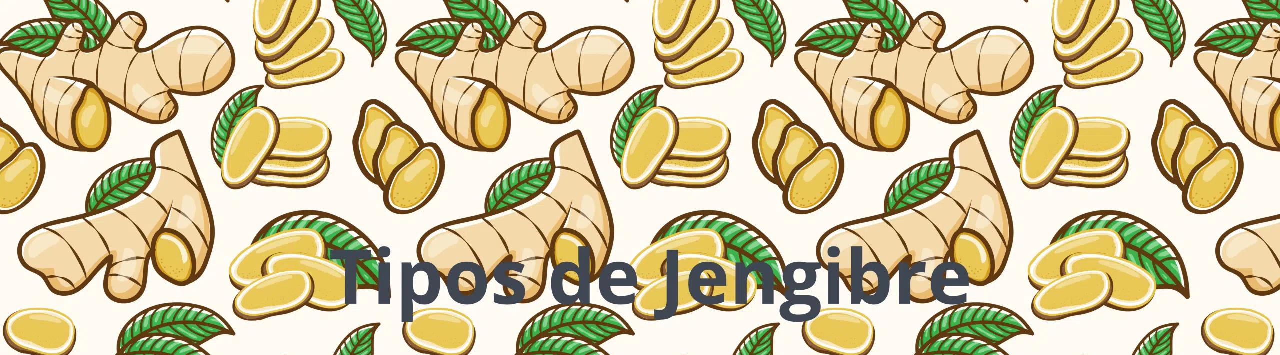 Planta de Jengibre Flor - Cuál es el jengibre comestible planta de jengibre flor - Cuál es el jengibre comestible