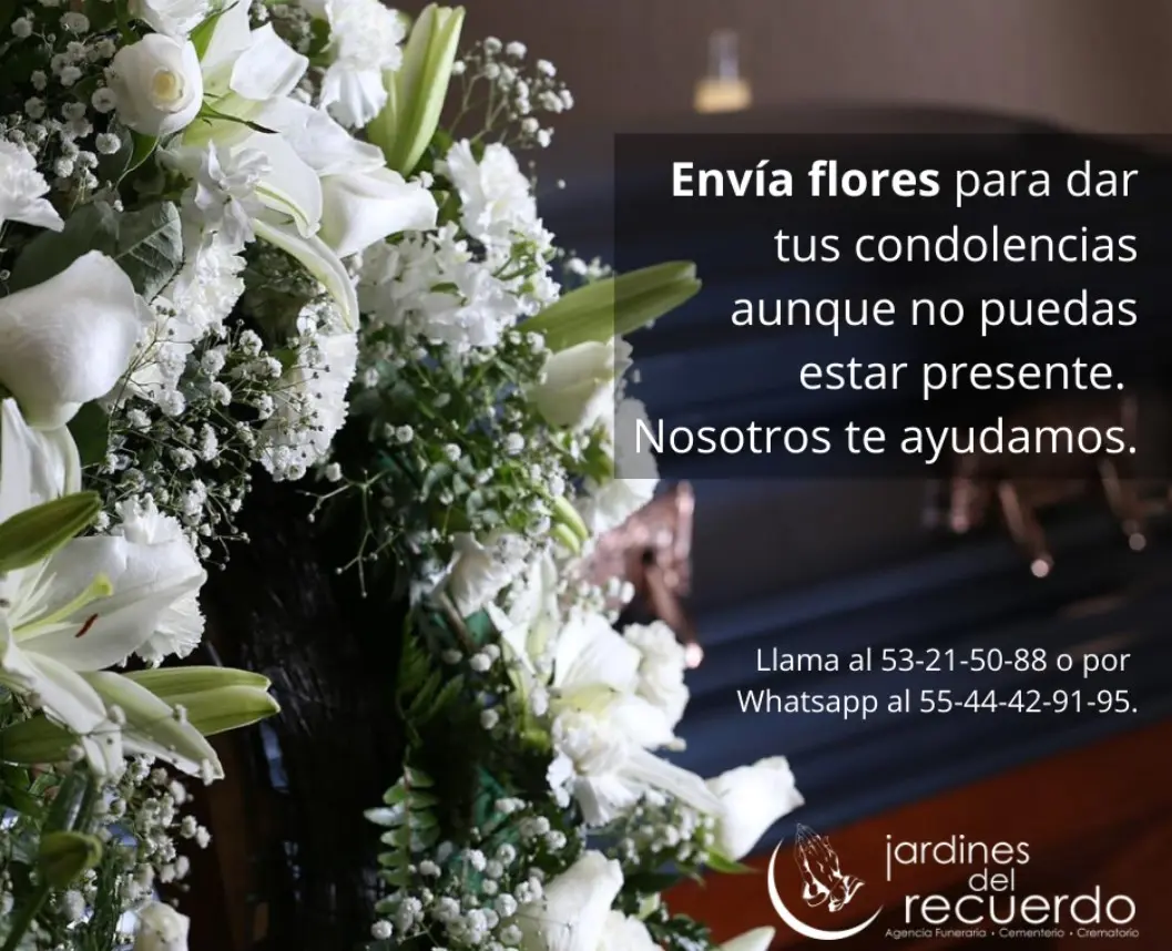 Por qué le llevan flores a los muertos - Cuál es el origen de llevar flores al cementerio porque le llevan flores a los muertos - Cuál es el origen de llevar flores al cementerio