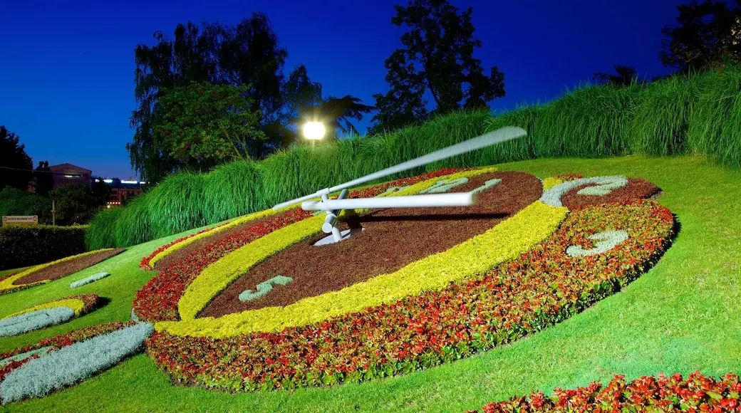 reloj de flores - Cuál es el reloj de flores más grande del mundo