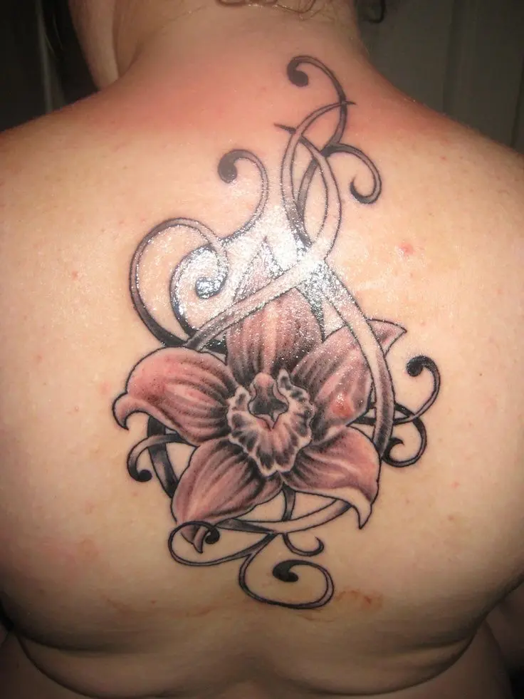 Flor de cattleya tattoo: Significado y diseños - Cuál es el significado de Cattleya flor de cattleya tattoo - Cuál es el significado de Cattleya