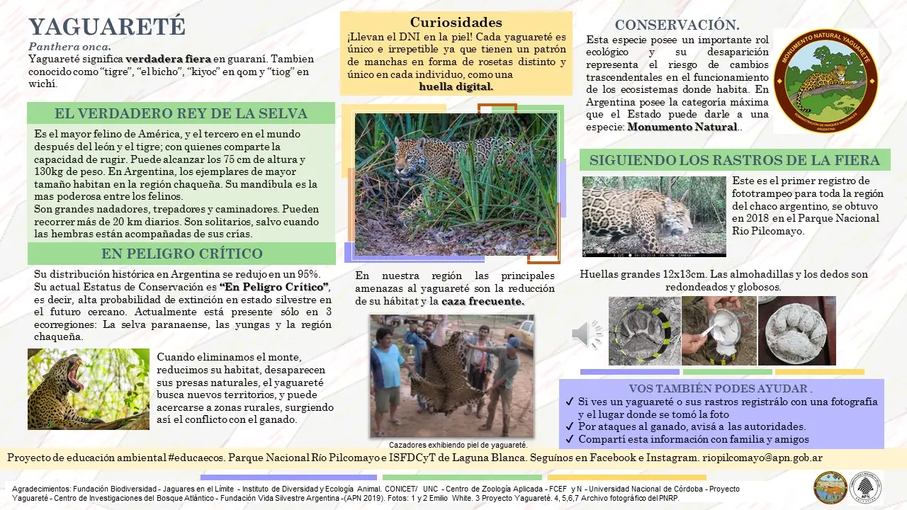 Flora y fauna del nordeste argentino - Cuál es la fauna del Noreste Argentino flora y fauna del nordeste argentino - Cuál es la fauna del Noreste Argentino