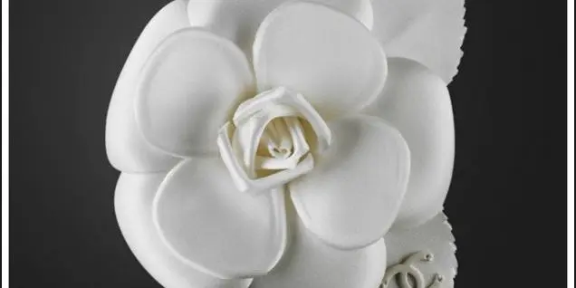 La Flor de Chanel: La Historia de la Camelia - Cuál es la flor de la camelia la flor de chanel - Cuál es la flor de la camelia