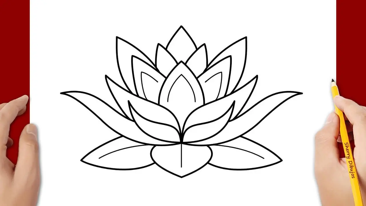 bocetos de flor de loto - Cuál es la flor de la creatividad