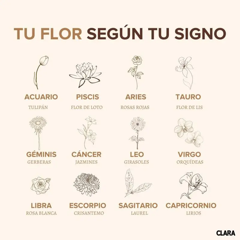Flor según tu mes - Cuál es la flor del mes de marzo flor segun tu mes - Cuál es la flor del mes de marzo