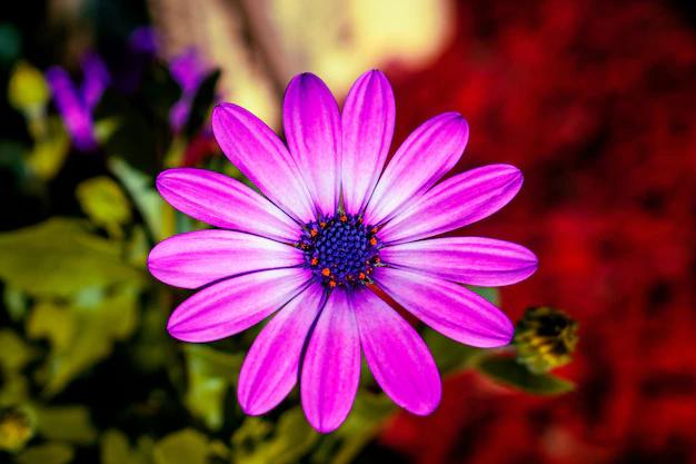 flores hermosas imagenes - Cuál es la flor única del mundo