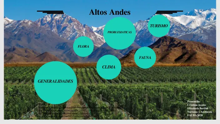 flora de los altos andes - Cuál es la flora de la Cordillera de los Andes