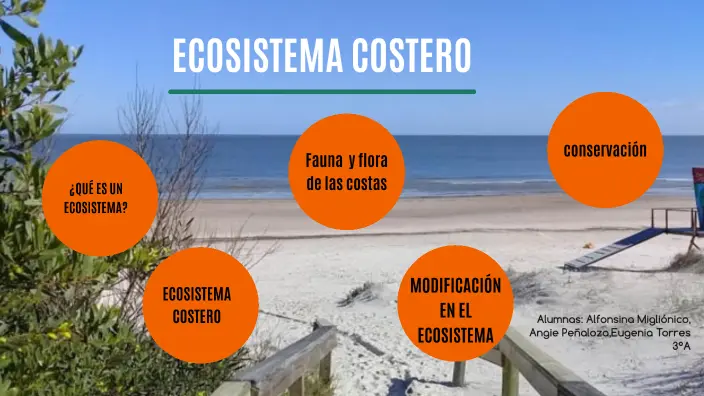 Ecosistema costero: Flora y fauna - Cuál es la flora de las costas ecosistema costero flora y fauna - Cuál es la flora de las costas