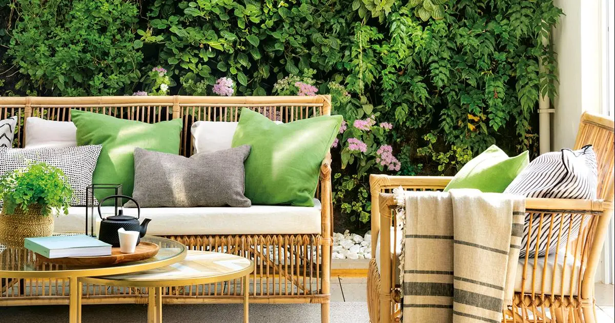 enredaderas con flores todo el año - Cuál es la planta trepadora que crece más rápido