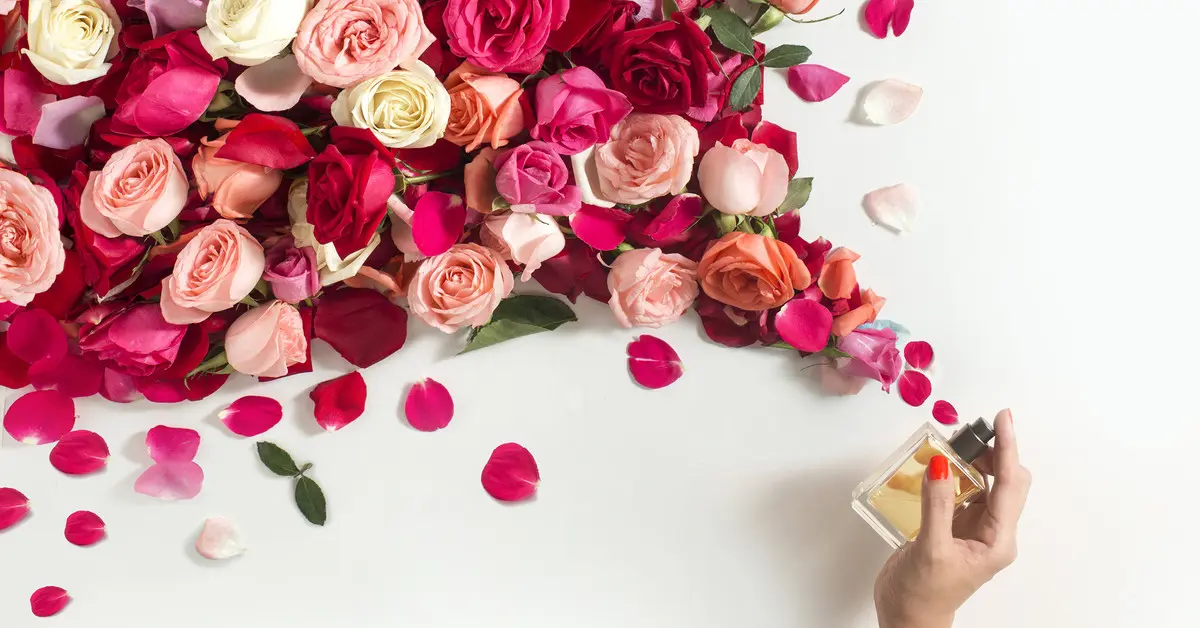 aceites esenciales de flores - Cuál es la rosa más apreciada en aromaterapia