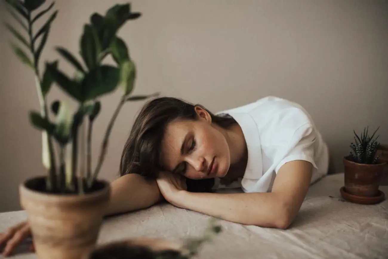Géminis y su vínculo con las orquídeas - Cuál es tu planta según tu signo geminis flor - Cuál es tu planta según tu signo