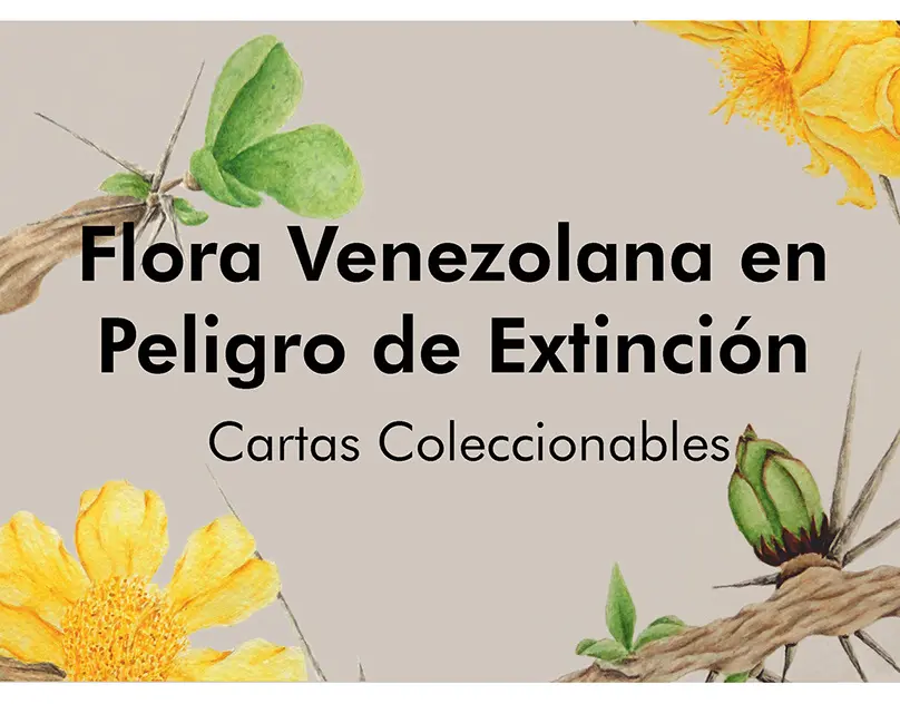 flora en peligro de extincion en venezuela - Cuáles son las especies que se han extinguido en Venezuela