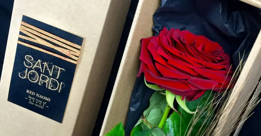 rosas flores hermosas - Cuáles son las mejores rosas del mundo