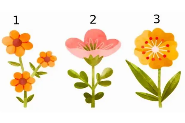imagen test en flores - Cuáles son las pruebas diagnósticas por imagen