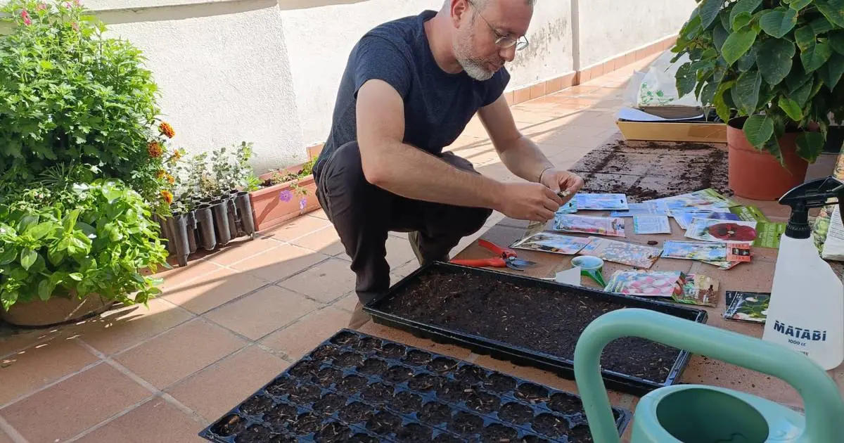 Semillas de flores: cómo sembrar y cuáles germinan más rápido - Cuándo se siembran las semillas de flores semillas de flores - Cuándo se siembran las semillas de flores