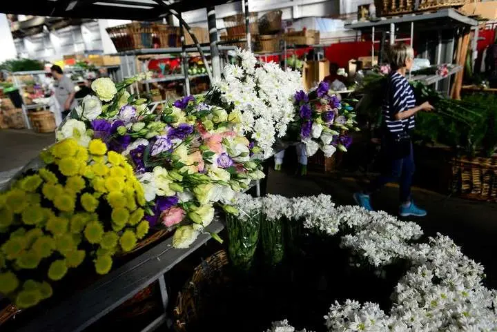mercado de flores la plata - Cuándo se venden más flores