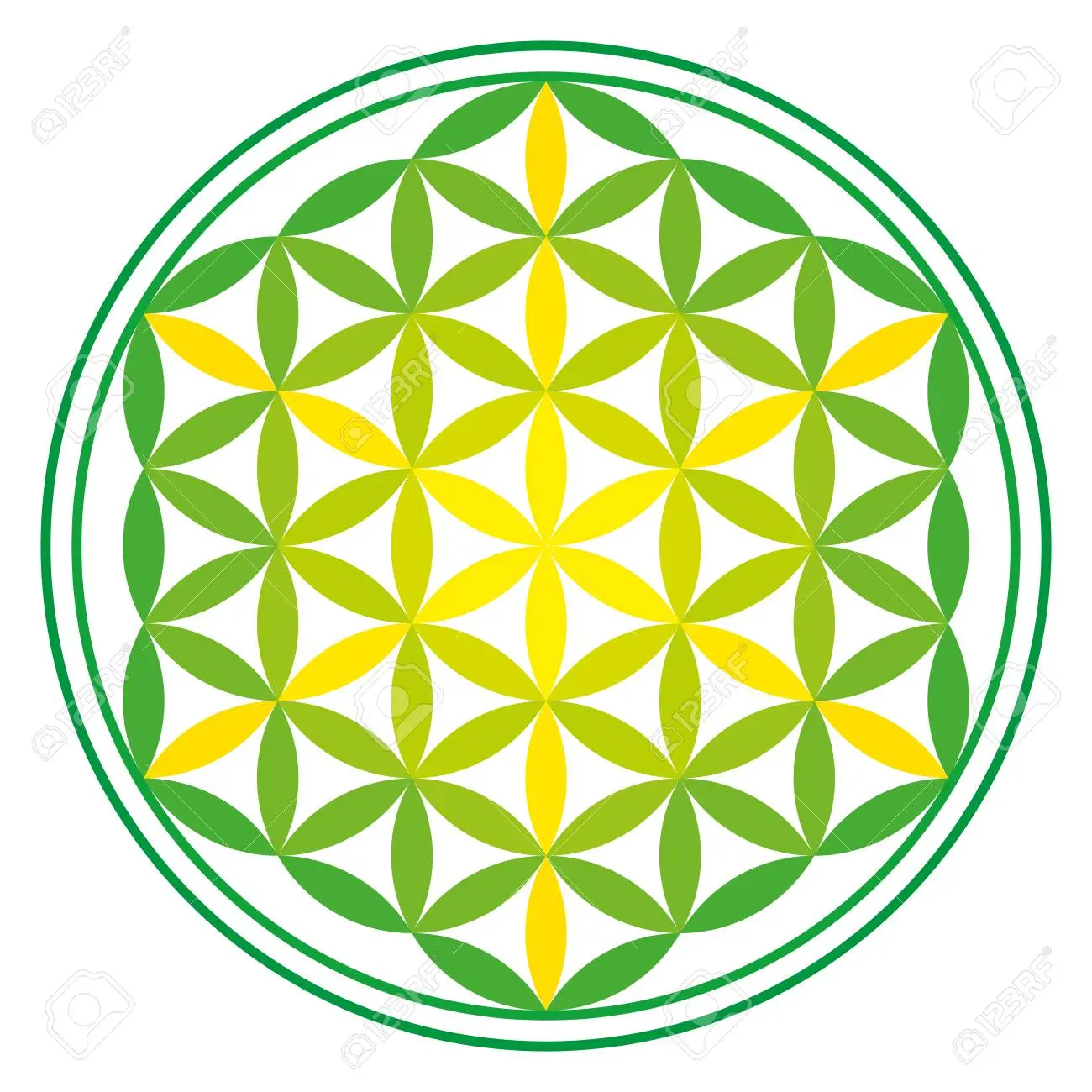 La Flor de la Vida Verde: Un Símbolo de Conexión y Renovación - Cuántas flores tiene la flor de la vida flor de la vida verde - Cuántas flores tiene la flor de la vida