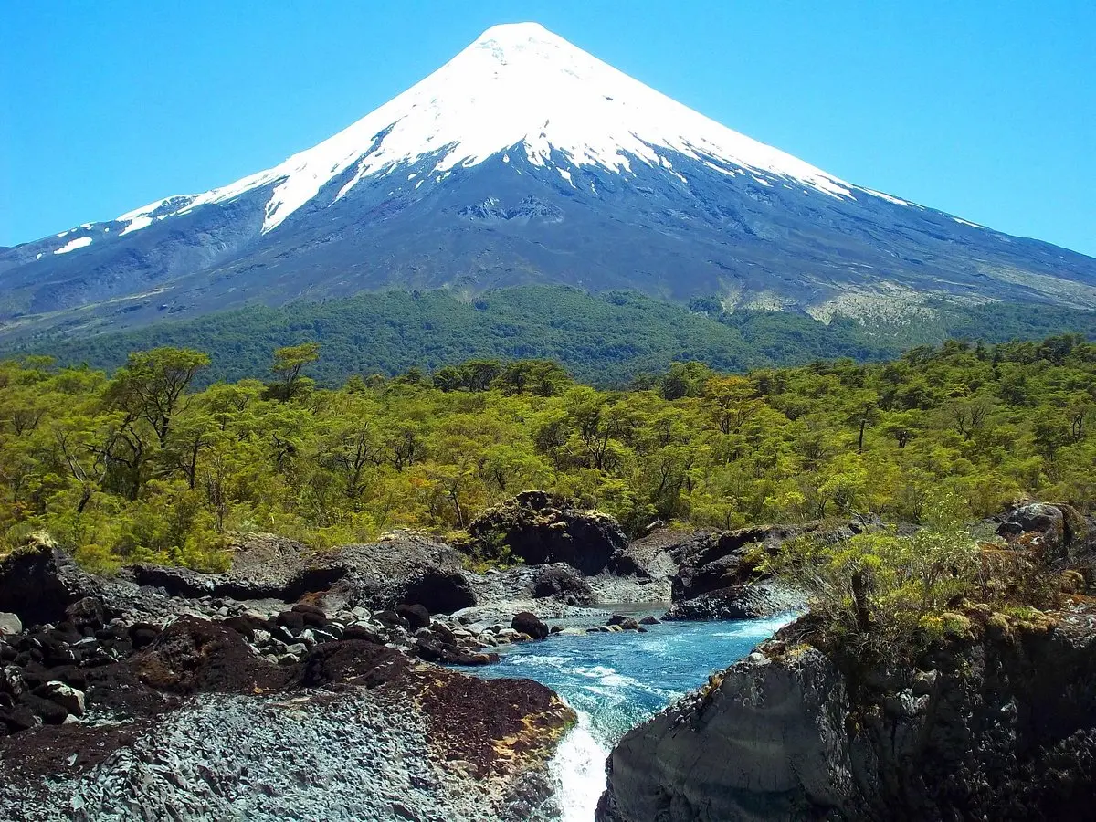 Parque Nacional Vicente Pérez Rosales: Flora y Fauna - Cuántas hectareas tiene el Parque Vicente Pérez Rosales parque nacional vicente perez rosales flora y fauna - Cuántas hectareas tiene el Parque Vicente Pérez Rosales