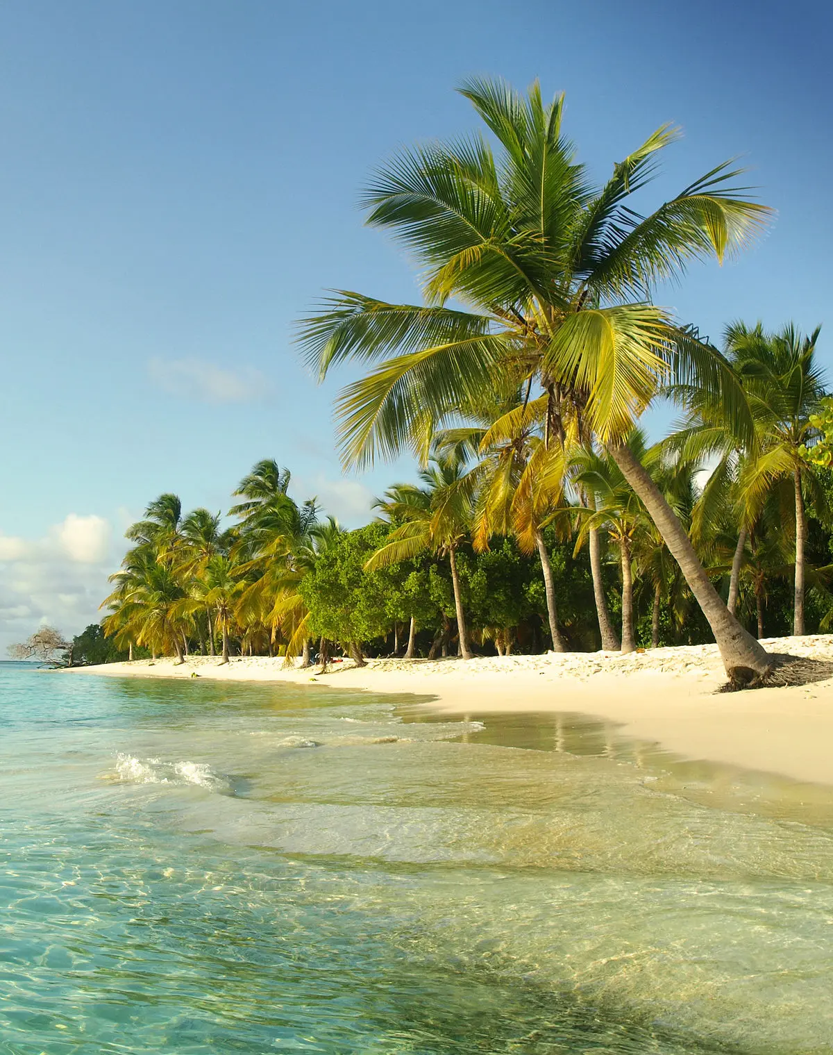 flora del parque nacional morrocoy - Cuántas playas tiene el Parque Nacional Morrocoy