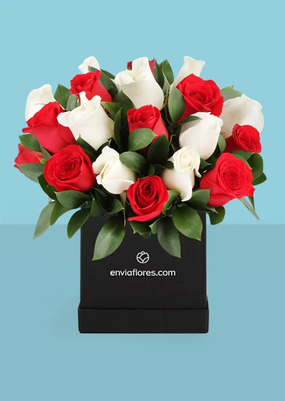 Ramos de flores rojas naturales: La expresión perfecta del amor - Cuánto cuesta un ramo de 24 rosas ramos de flores rojas naturales - Cuánto cuesta un ramo de 24 rosas