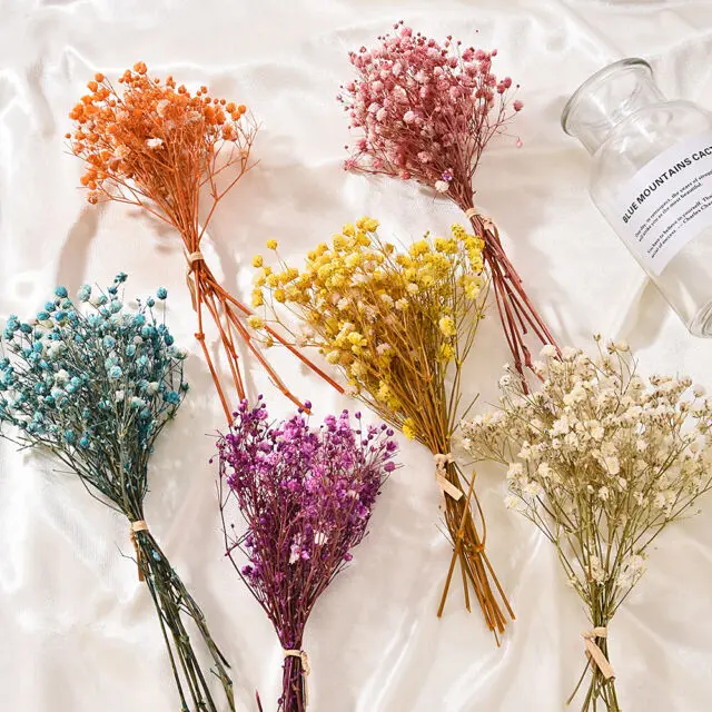 Flor aliento de bebé: significado y duración - Cuánto tiempo dura la Gypsophila flor aliento de bebe - Cuánto tiempo dura la Gypsophila