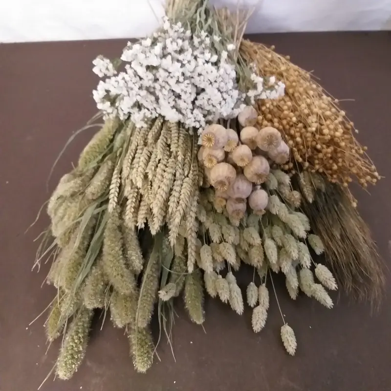 ¿Dónde comprar flores secas? - Cuánto tiempo duran flores secas donde comprar flores secas - Cuánto tiempo duran flores secas