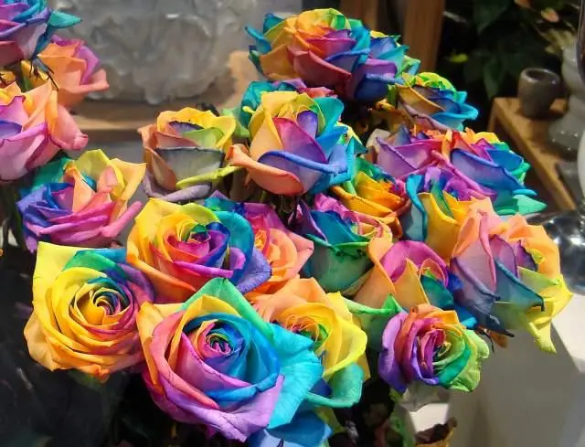 como teñir flores naturales - Cuánto tiempo tarda en pintarse una flor