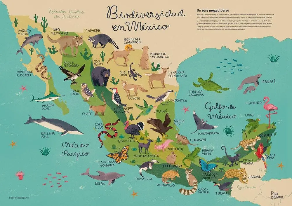 Flora y fauna en México: Un tesoro natural - Dónde hay flora en México flora y fauna en mexico mapa - Dónde hay flora en México